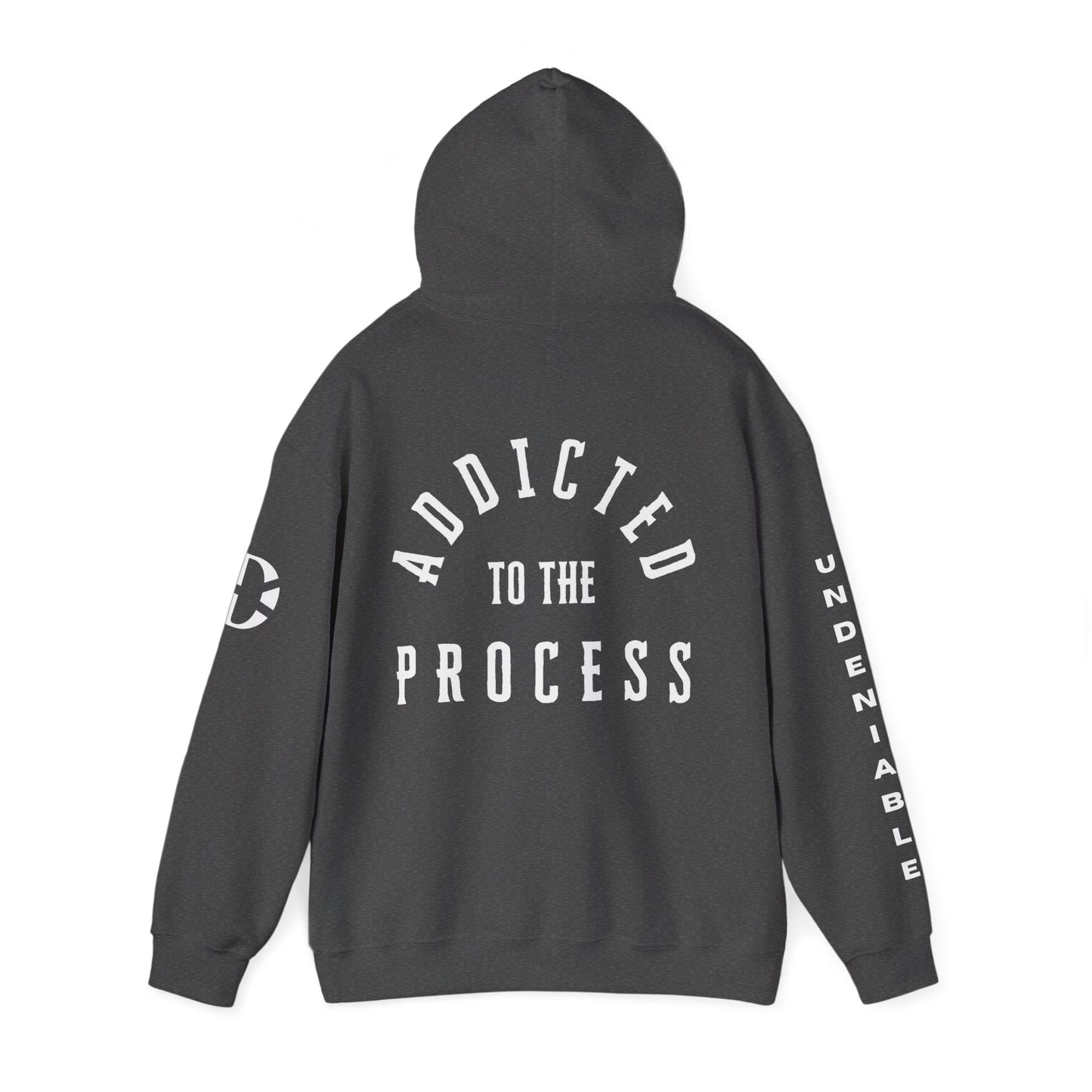 ADDICTED TO THE PROCESS HOODIE - Discipline Over Motivation 24/7