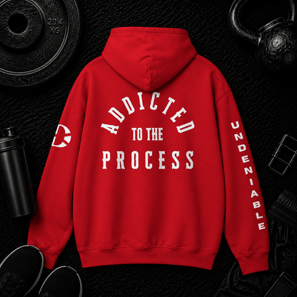 ADDICTED TO THE PROCESS HOODIE - Discipline Over Motivation 24/7