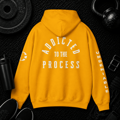 ADDICTED TO THE PROCESS HOODIE - Discipline Over Motivation 24/7
