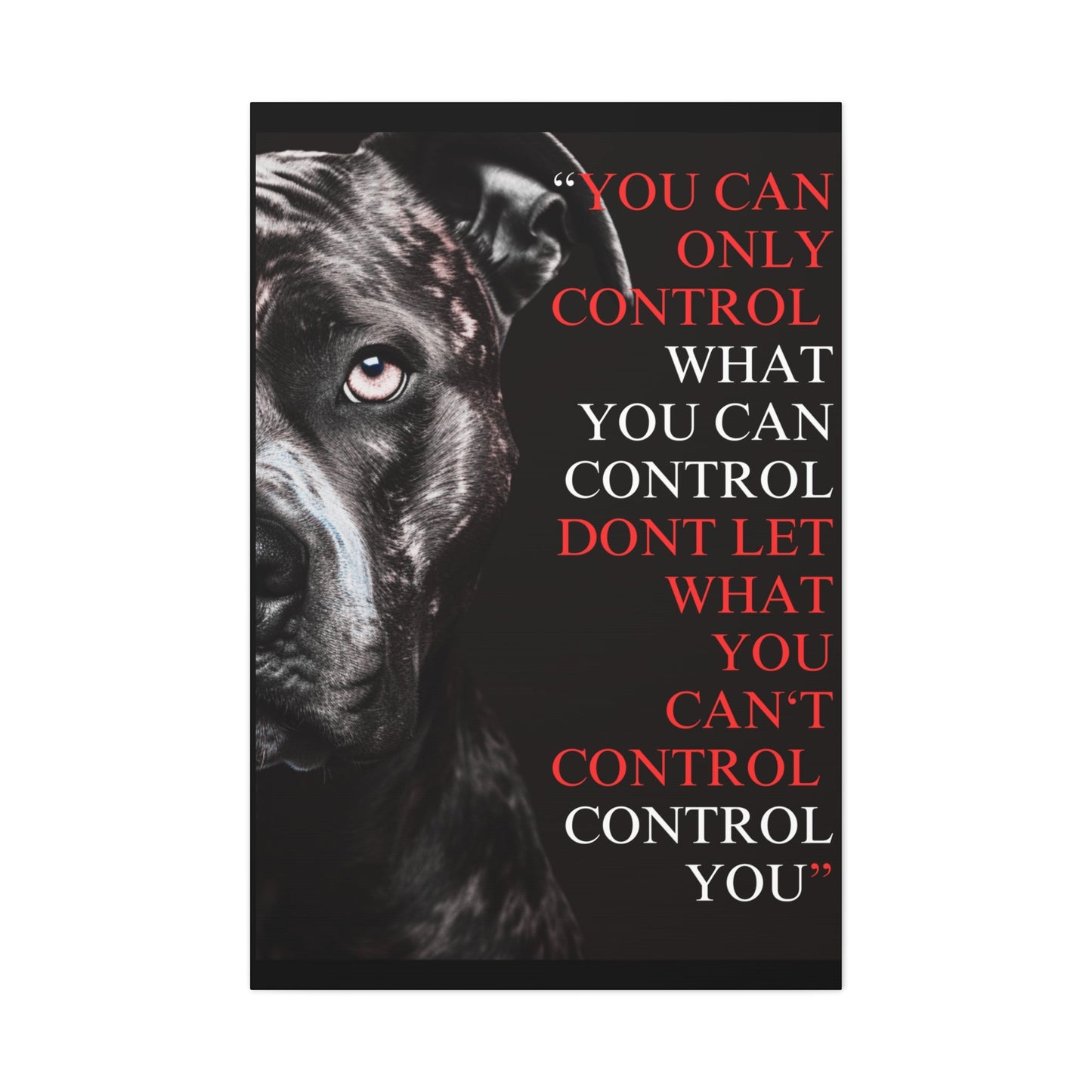 Pit Bull Control Canvas - Discipline Over Motivation 247