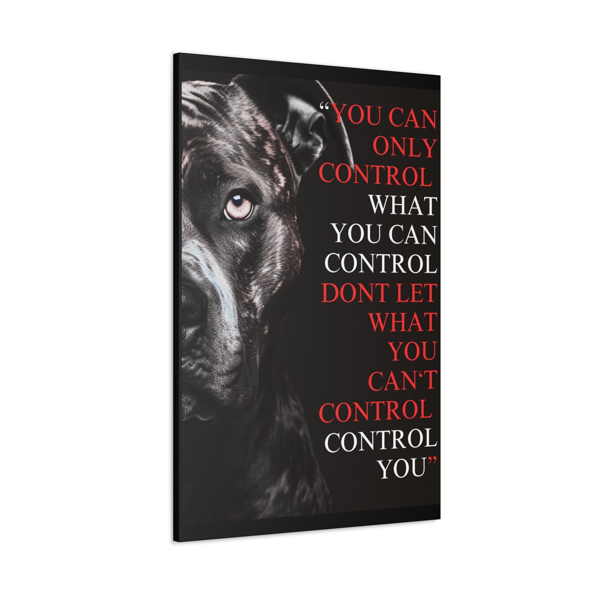 Pit Bull Control Canvas - Discipline Over Motivation 247