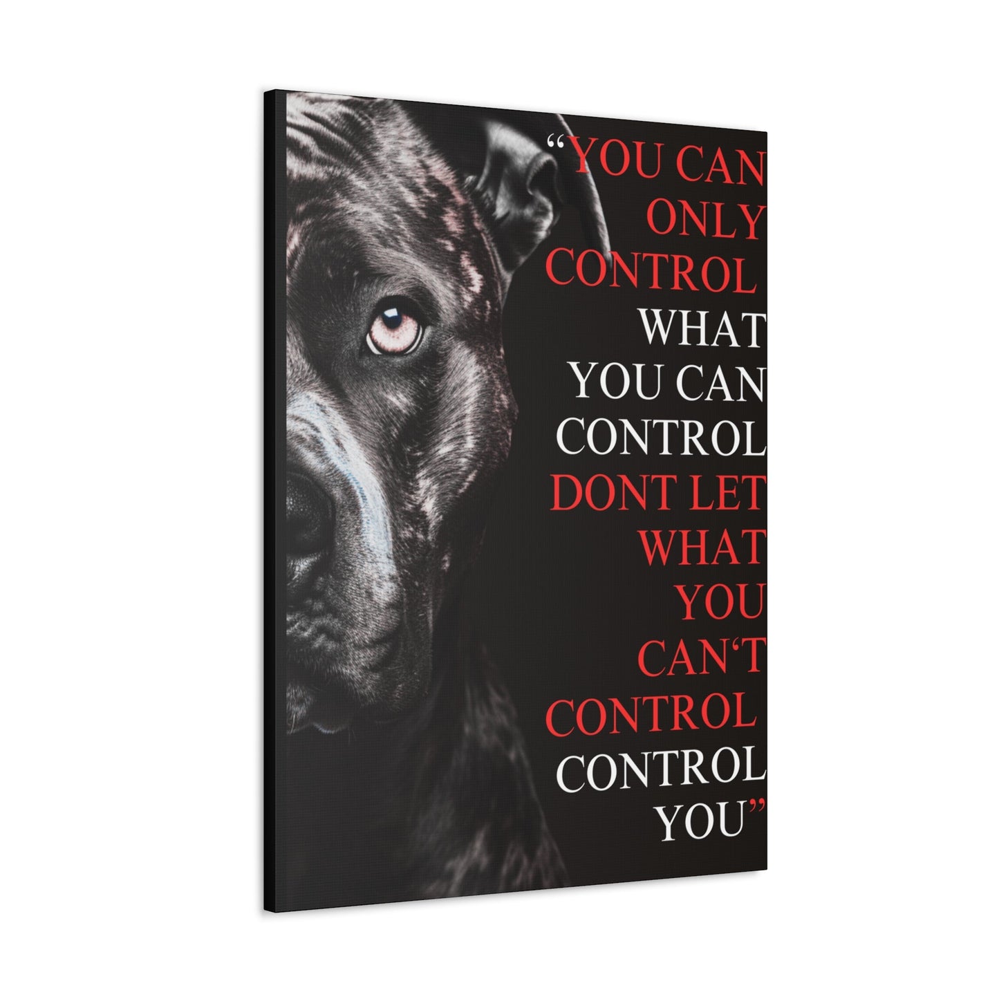 Pit Bull Control Canvas - Discipline Over Motivation 247