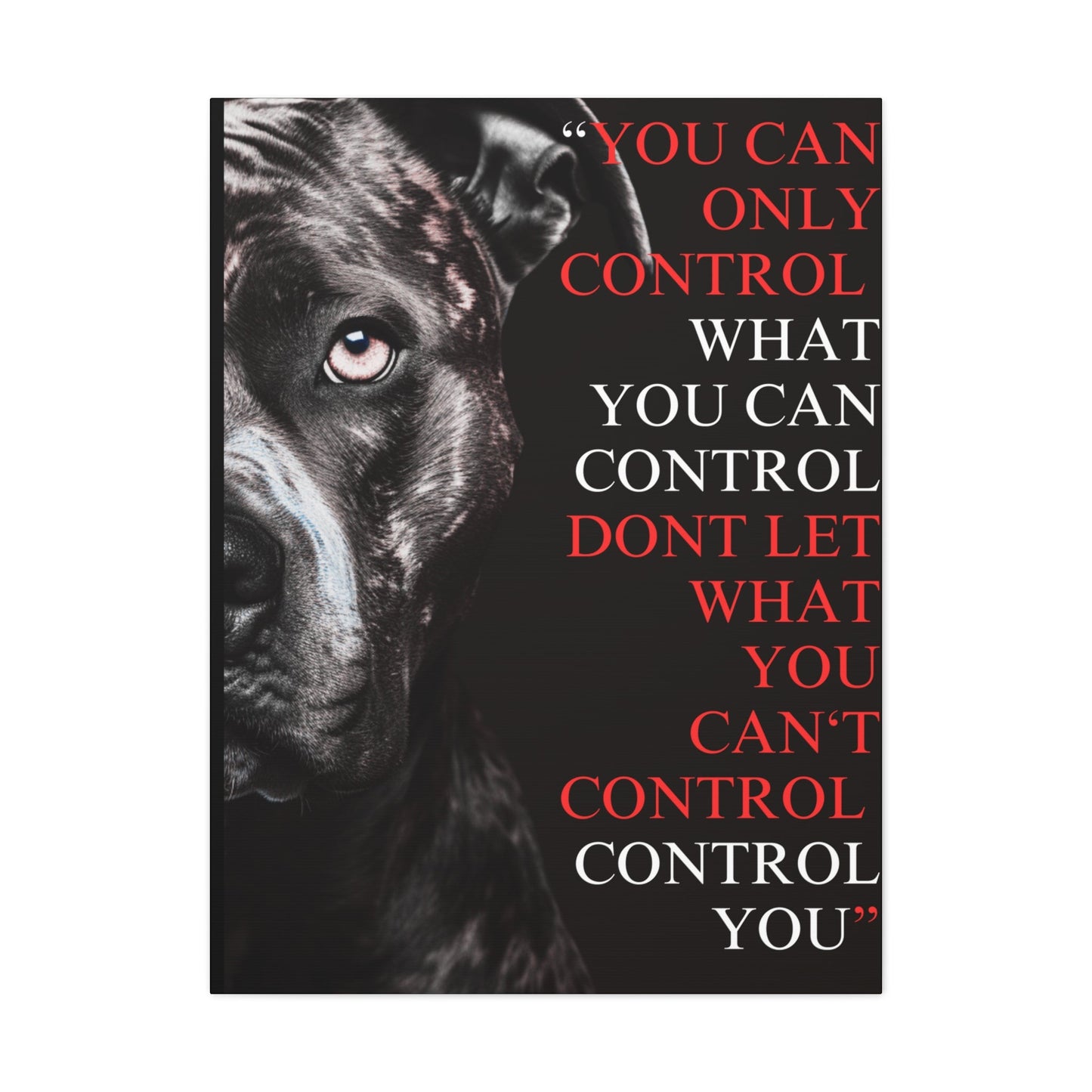 Pit Bull Control Canvas - Discipline Over Motivation 247