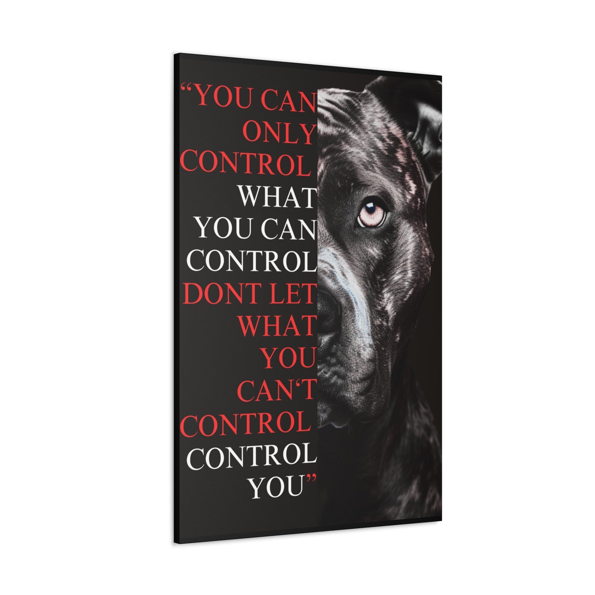 Pit Bull Control Canvas Split - Discipline Over Motivation 247