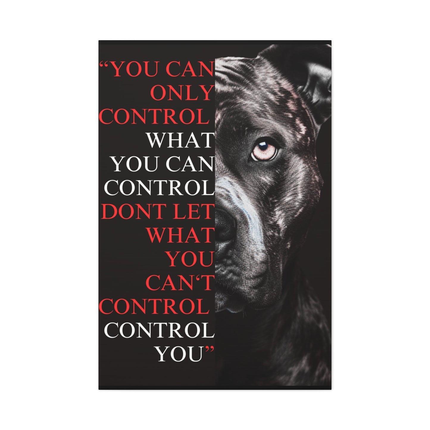 Pit Bull Control Canvas Split - Discipline Over Motivation 247