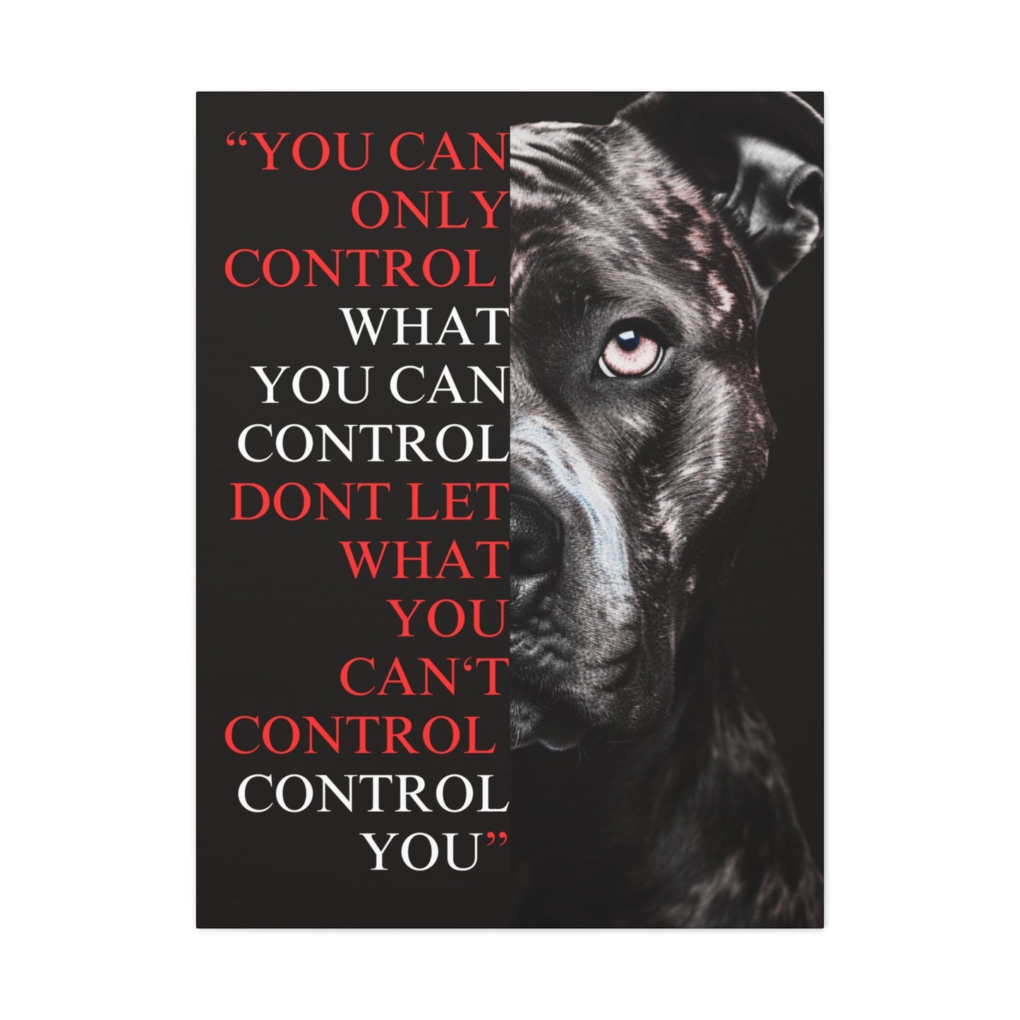 Pit Bull Control Canvas Split - Discipline Over Motivation 247