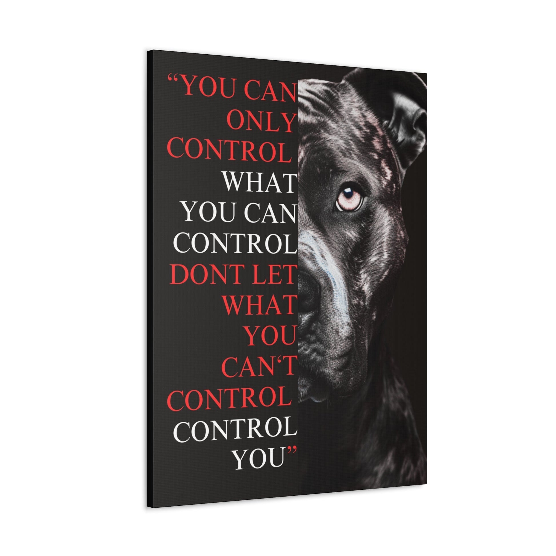 Pit Bull Control Canvas Split - Discipline Over Motivation 247