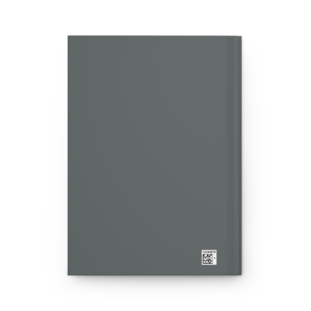 THE BLUEPRINT OF DISCIPLINE JOURNAL - Discipline Over Motivation 24/7